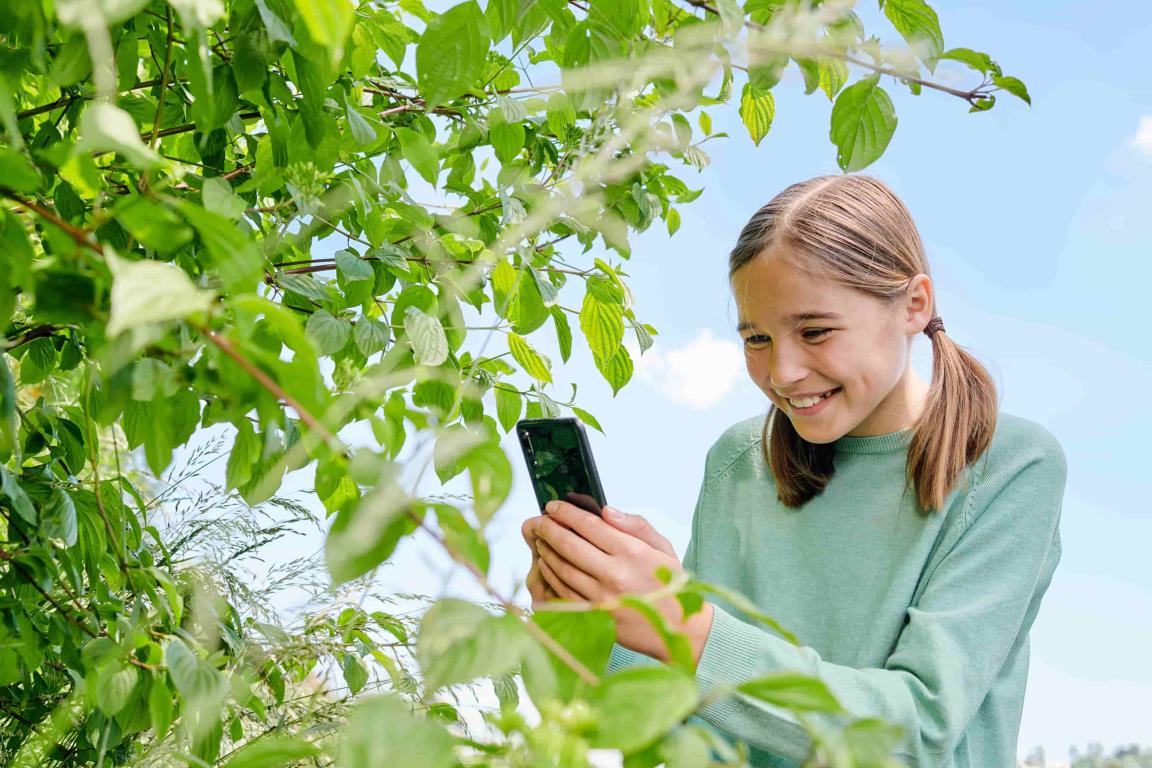 Mädchen mit Handy fotografiert eine Pflanze